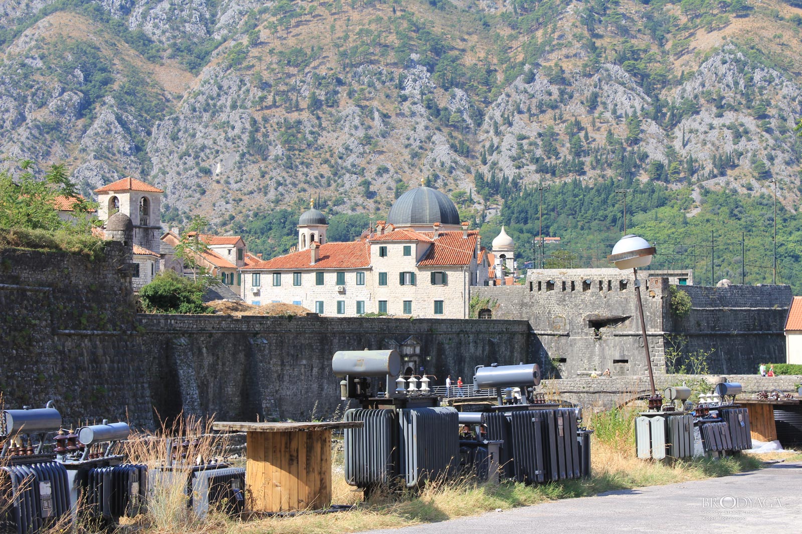 Kotor